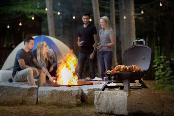 Napoelon Camping Gasgrill Travel Q Perfekt geeignet als Campinggrill - kompakte Gasgrills wie der TravelQ von Napoleon