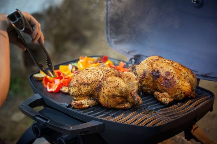 Vielfältige Zubereitungsmöglichkeiten mit dem Napoleon TravelQ Camping Gasgrill Abwechslung auf dem Grill-Speiseplan mit dem Napoleon Camping Gasgrill TravelQ